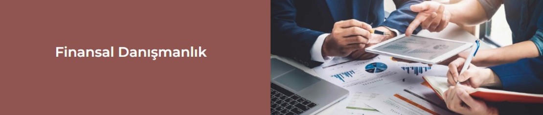 Finansal Danışmanlık