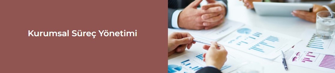 Kurumsal Süreç Yönetimi